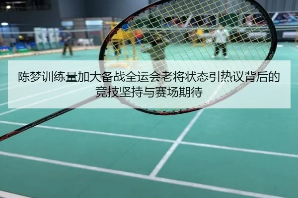 陈梦训练量加大备战全运会老将状态引热议背后的竞技坚持与赛场期待
